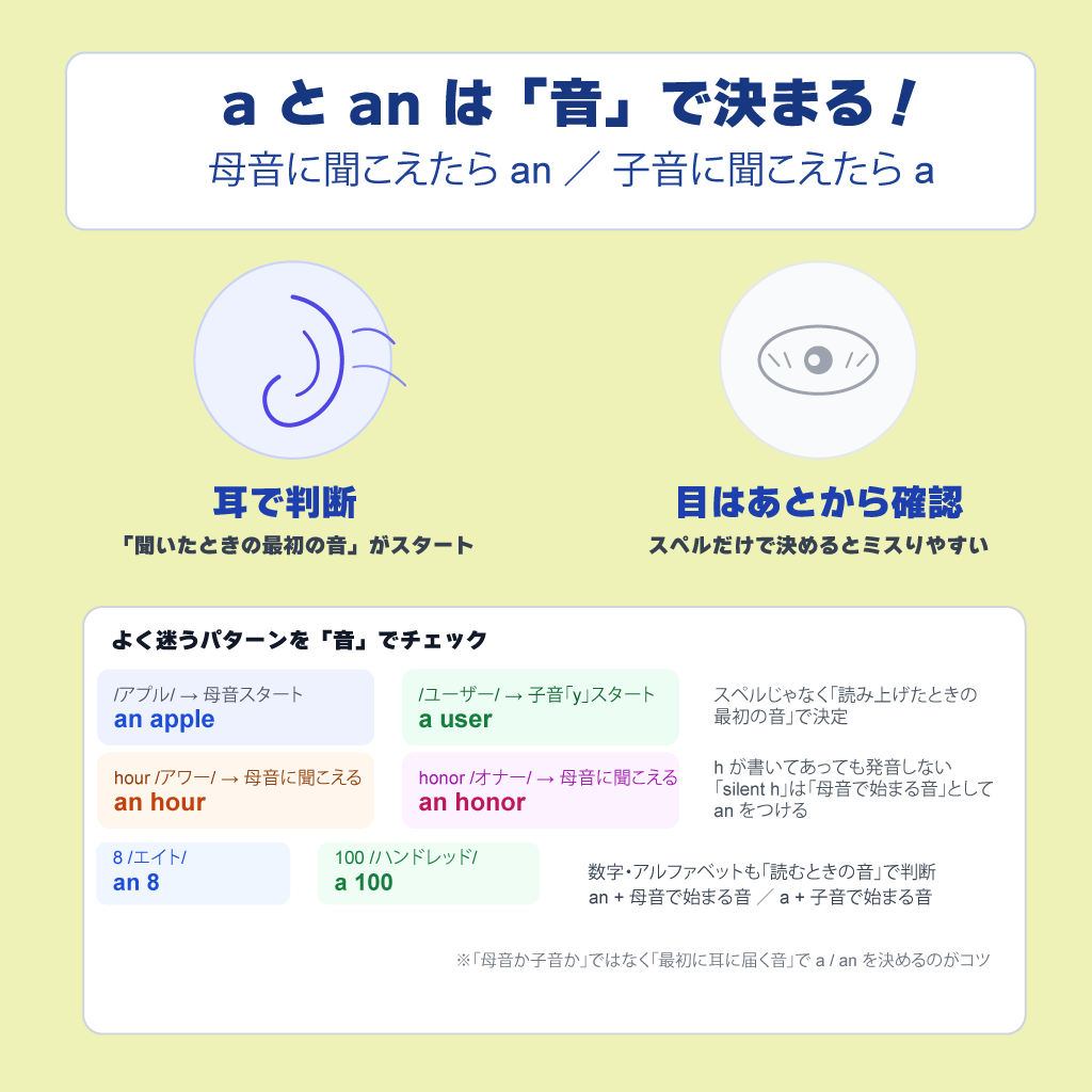 a an 使い分けのインフォグラフィック