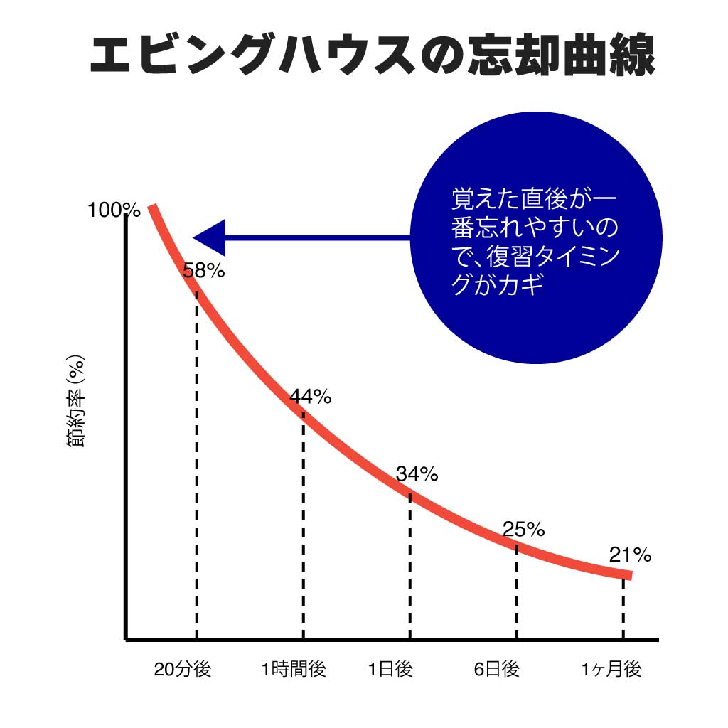 えビングハウスの忘却曲線