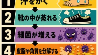 汗をかくと靴の中が蒸れ、細菌が増え、皮脂や角質を分解することでにおいが発生する流れを、5ステップでわかりやすく整理したインフォグラフィック。60年代アメリカアニメ風のレトロで大人っぽい雰囲気に、少し意地悪そうな細菌キャラクターを加え、原因の連鎖がひと目で伝わるデザインにしました。主線を抑えたスーパーフラットな表現で、強い色面とコントラストを使い、ポスターのように視認性高くまとめています。
